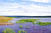 река Оленек